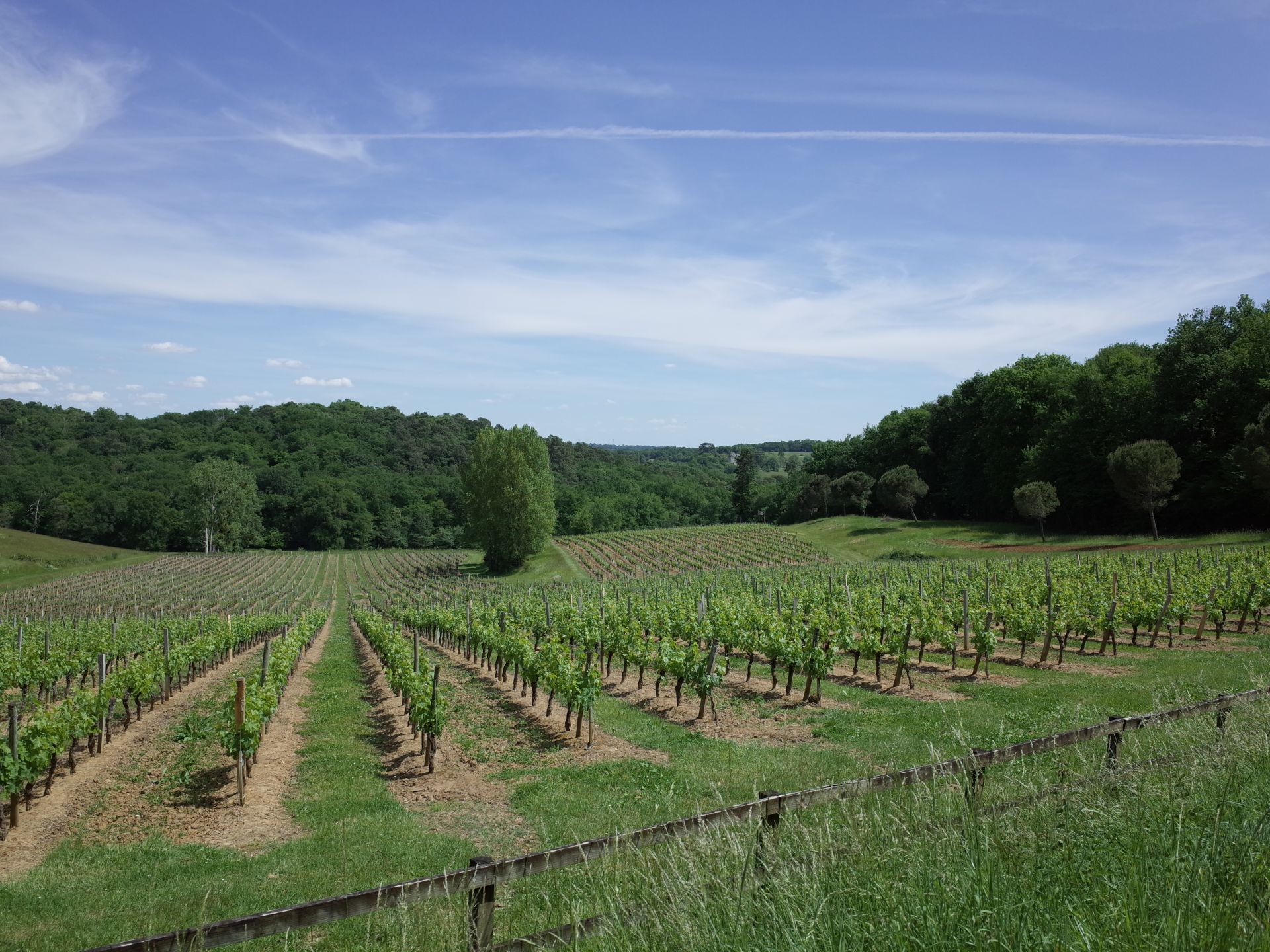 Excursion en Entre-Deux Mers