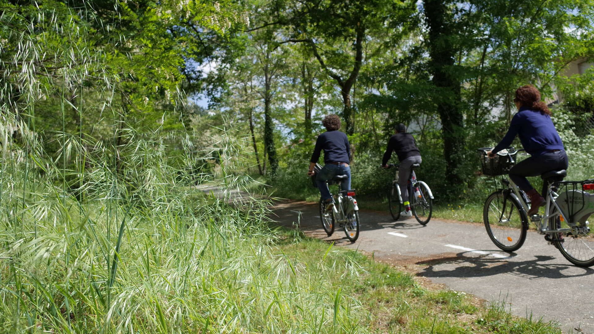 Cyclistes