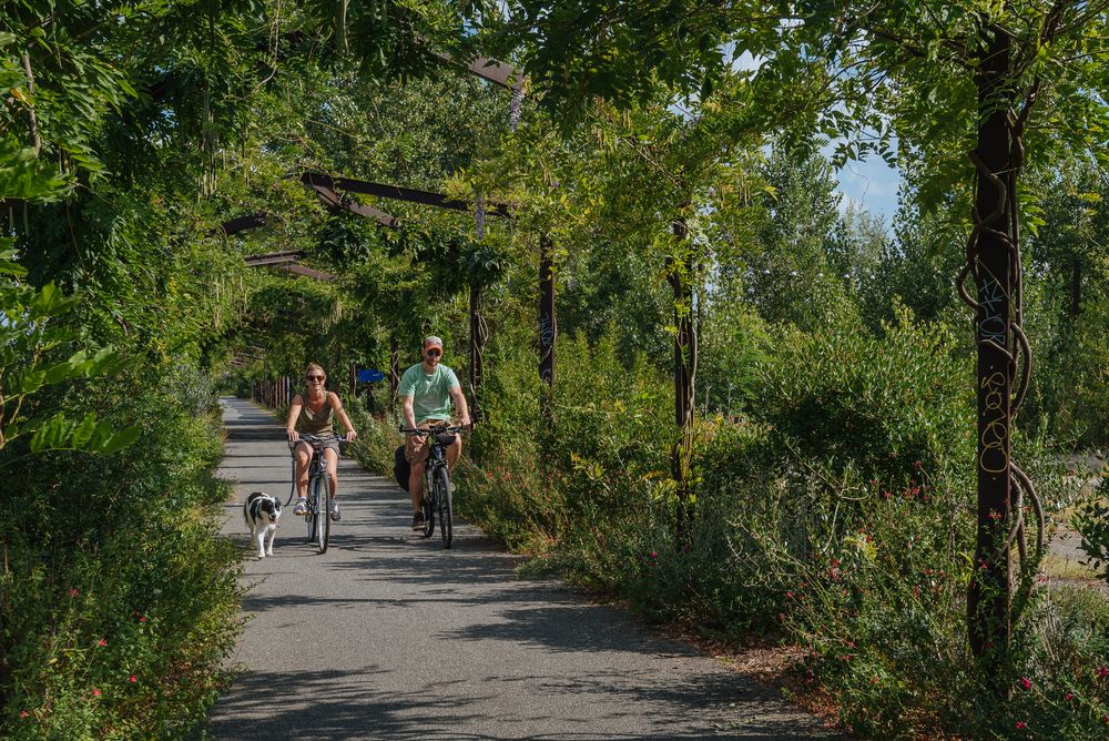 angéliques parc 