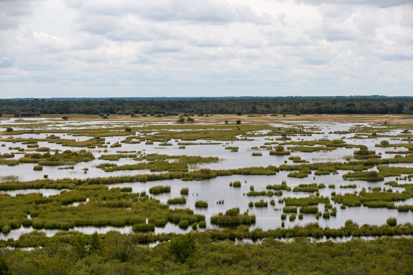 Etang de Cousseau