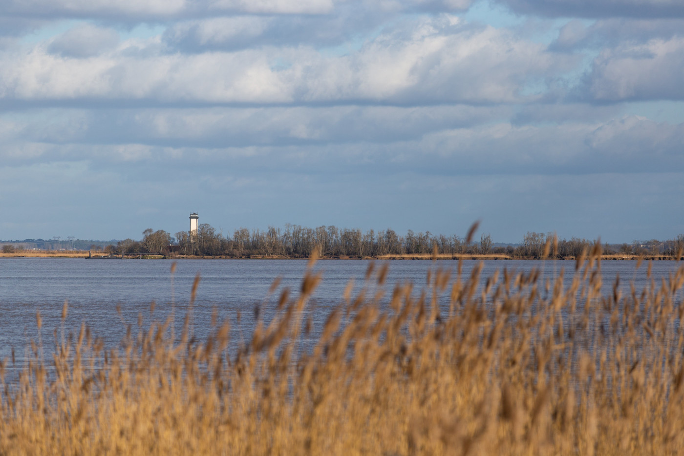 Blaye - David Remazeilles