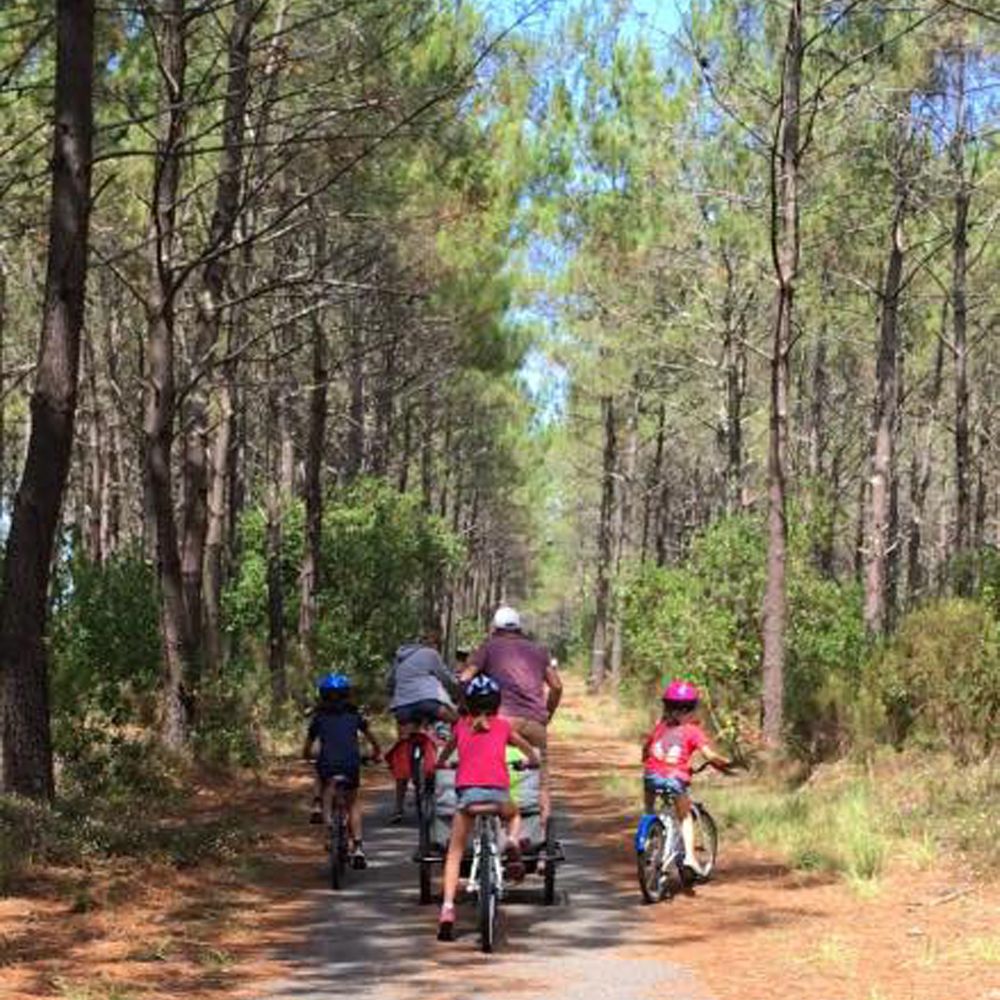 Escapade sur le Bassin d'Arcachon