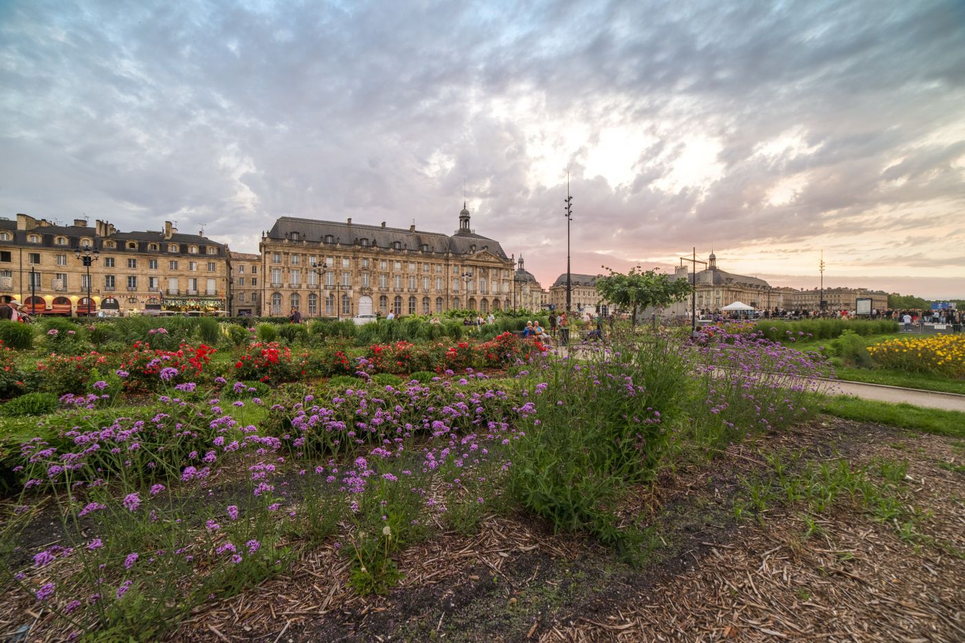 Faune et flore à Bordeaux - Jardin des Lumières 