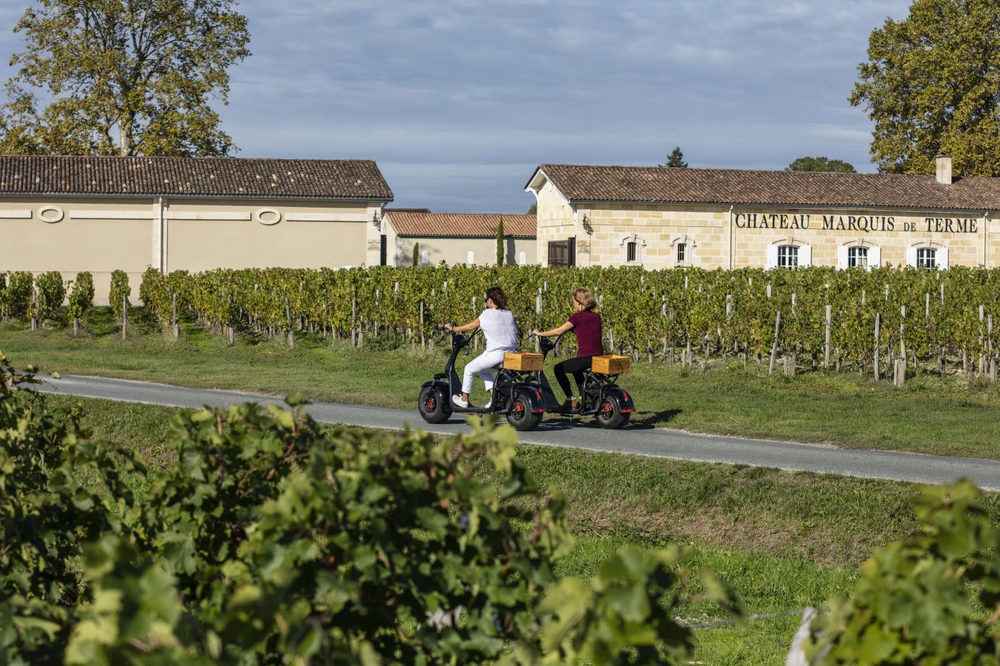 Château Marquis de terme