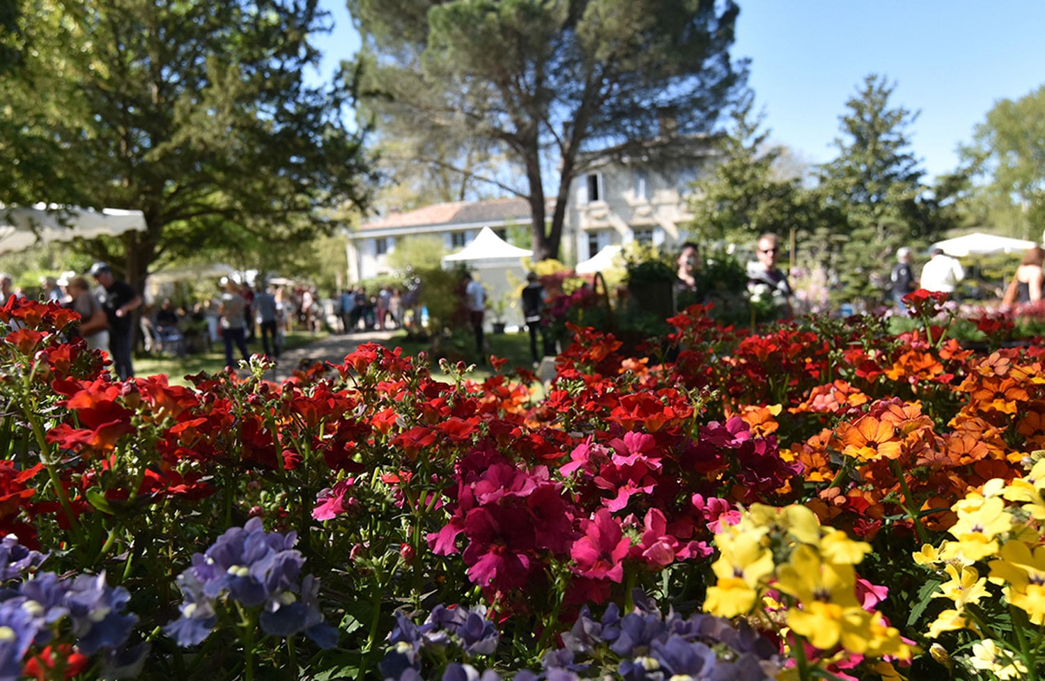 Tauzia fête les jardins Gradignan