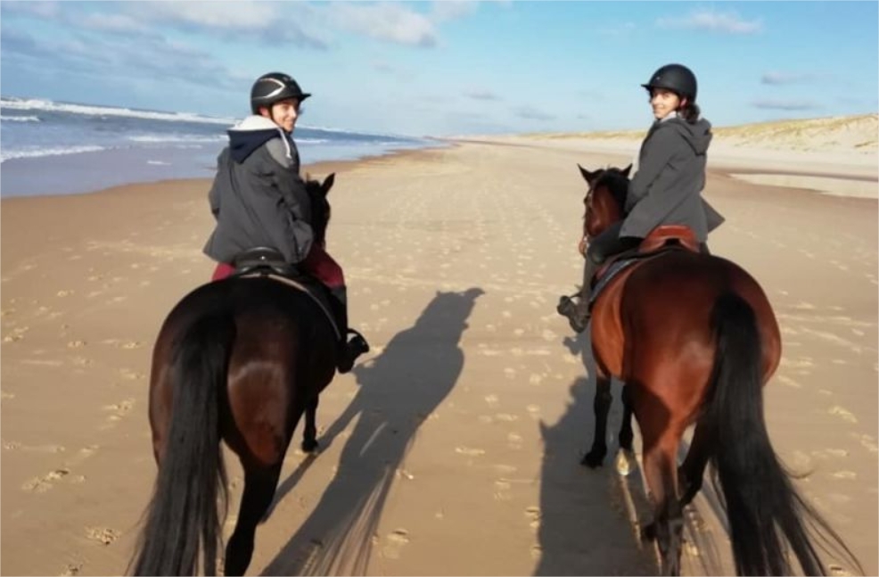 Balades à cheval aux portes de Bordeaux