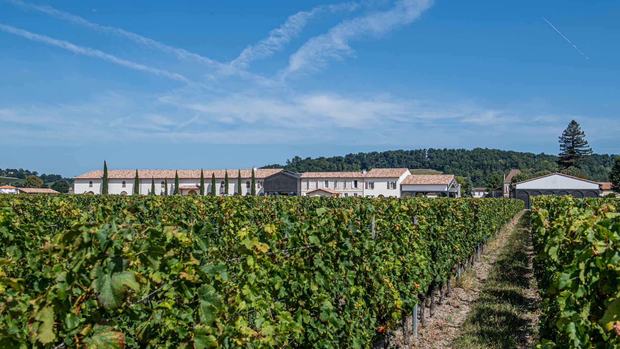 château fleur de lisse