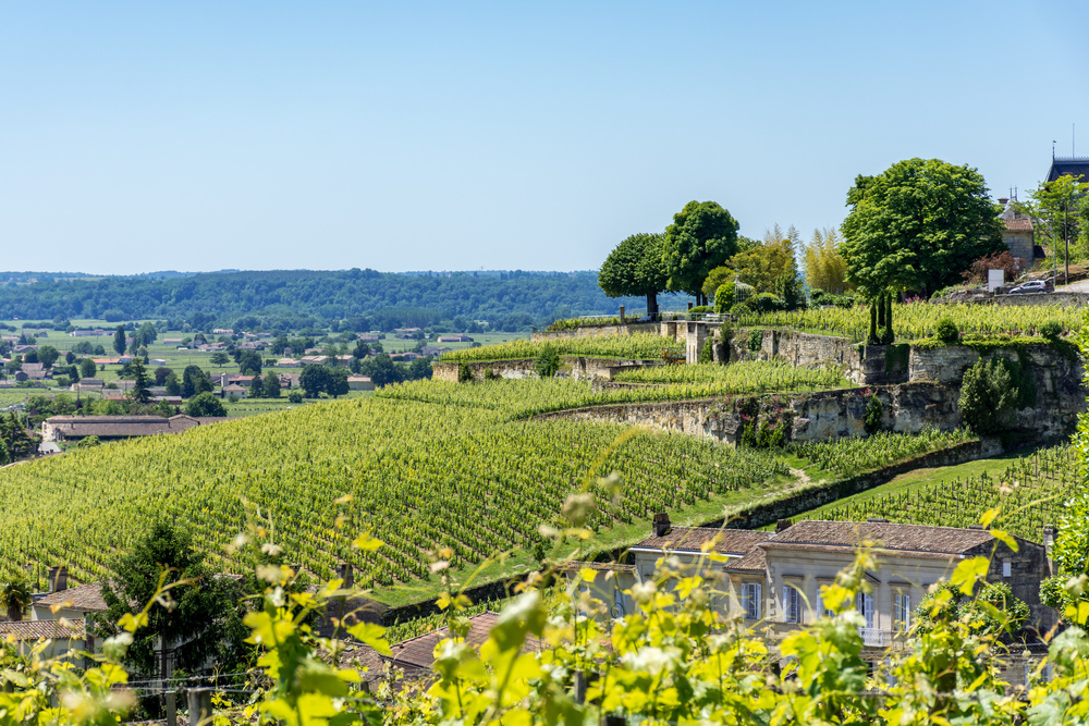 Saint Emilion - vacances à Bordeaux été