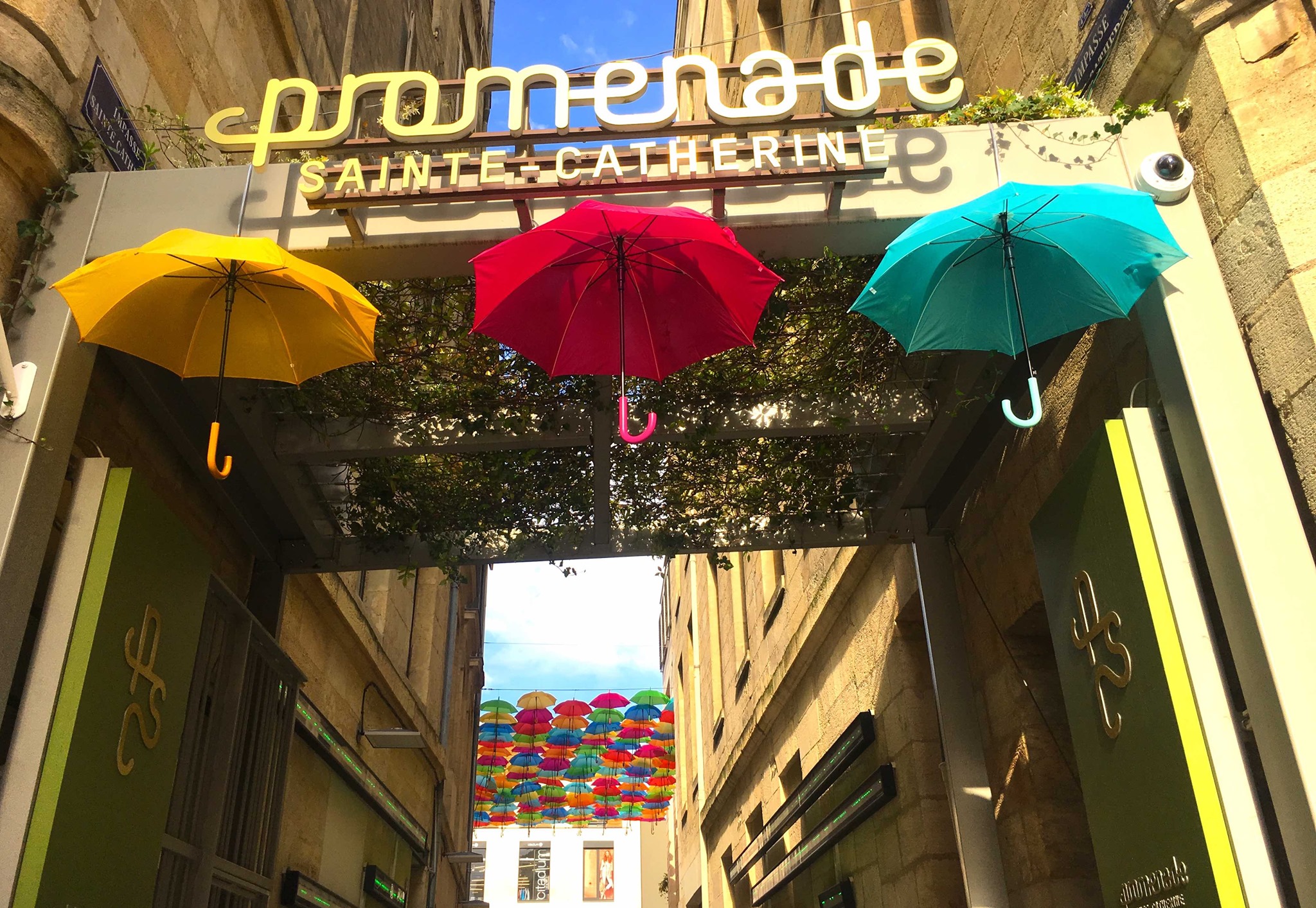 Entrée de la Promenade Sainte-Catherine à Bordeaux avec trois parapluies colorés (jaune, rouge, turquoise) suspendus au-dessus de la rue, et des centaines de parapluies multicolores visibles en arrière-plan près du port.