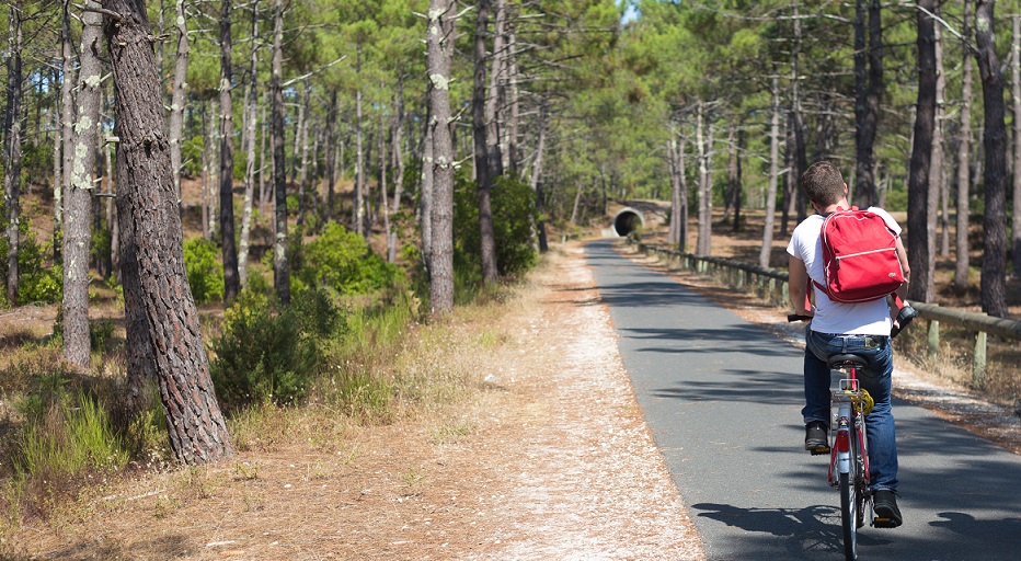 Un enfant à vélo avec un sac à dos rouge circulant sur une route forestière bordée de pins et d'arbres