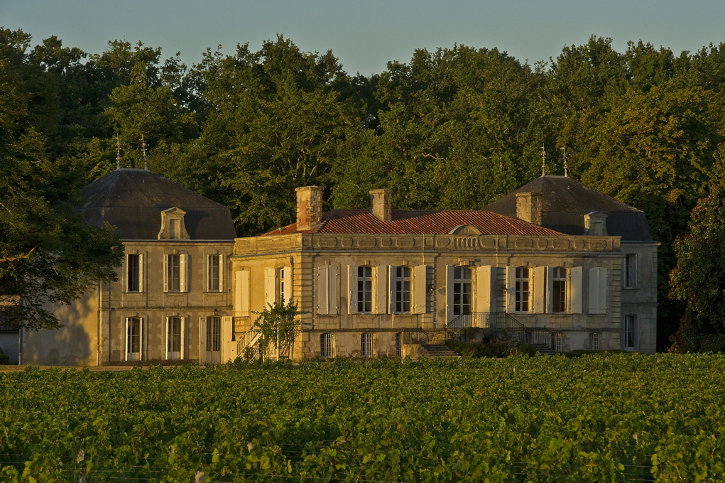 Château bordelais du XVIIIe siècle avec façade en pierre de taille, toits mansardés et dômes, entouré de vignobles et d'arbres
