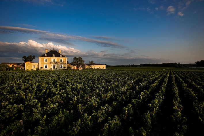 Château Haut-Bailly
