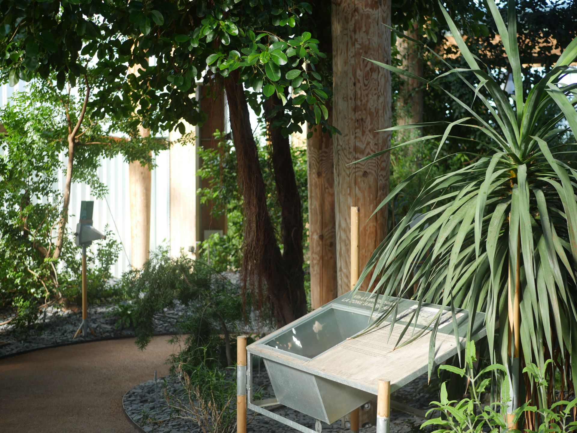 Cour intérieure verdoyante à Bordeaux avec bassin d'eau, plantes tropicales et façade ancienne en pierre