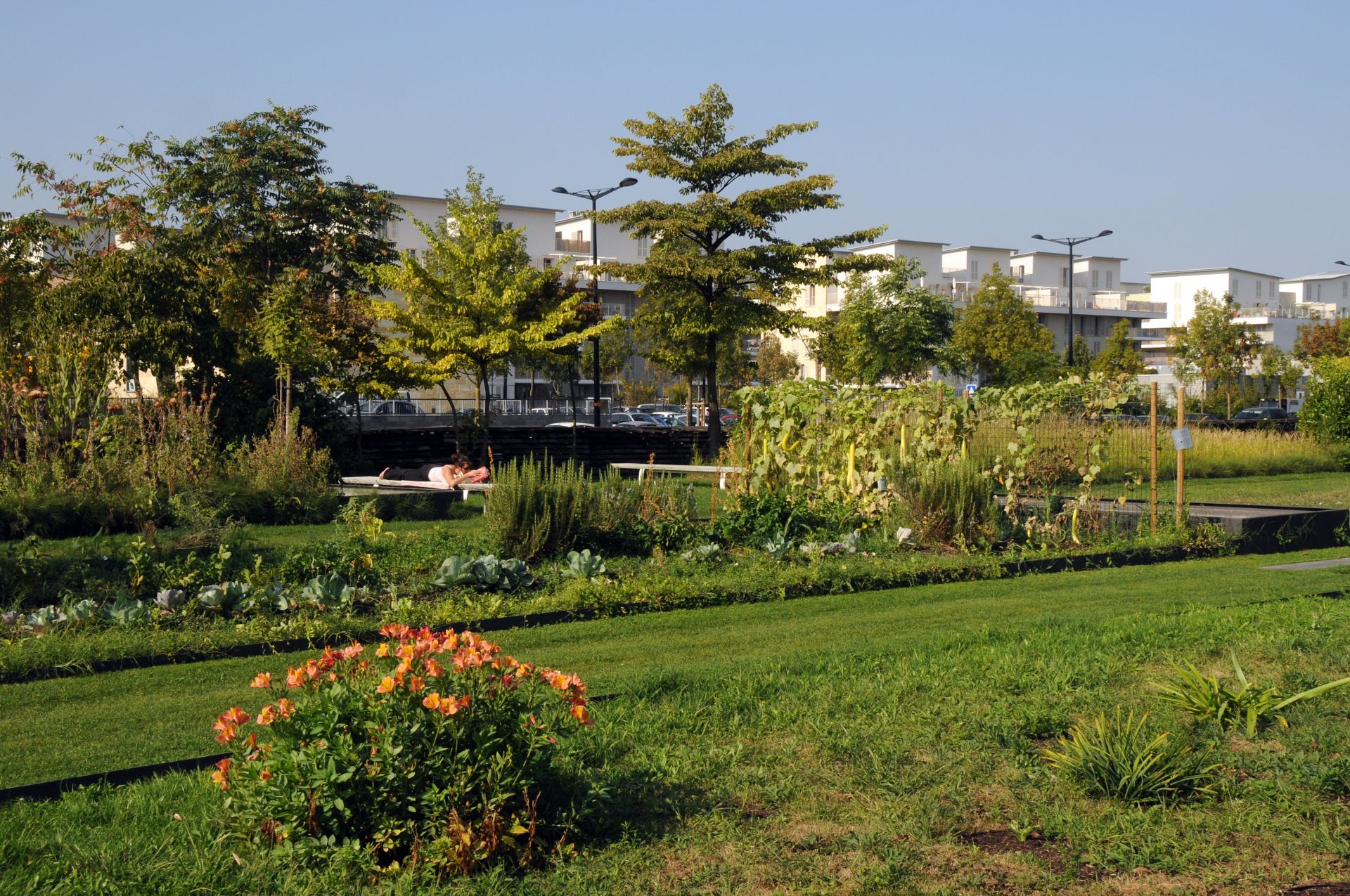Parc urbain verdoyant à Bordeaux avec fleurs orange au premier plan, pelouse, jardins potagers, arbres, un banc avec une personne, et immeubles modernes en arrière-plan sous un ciel dégagé.