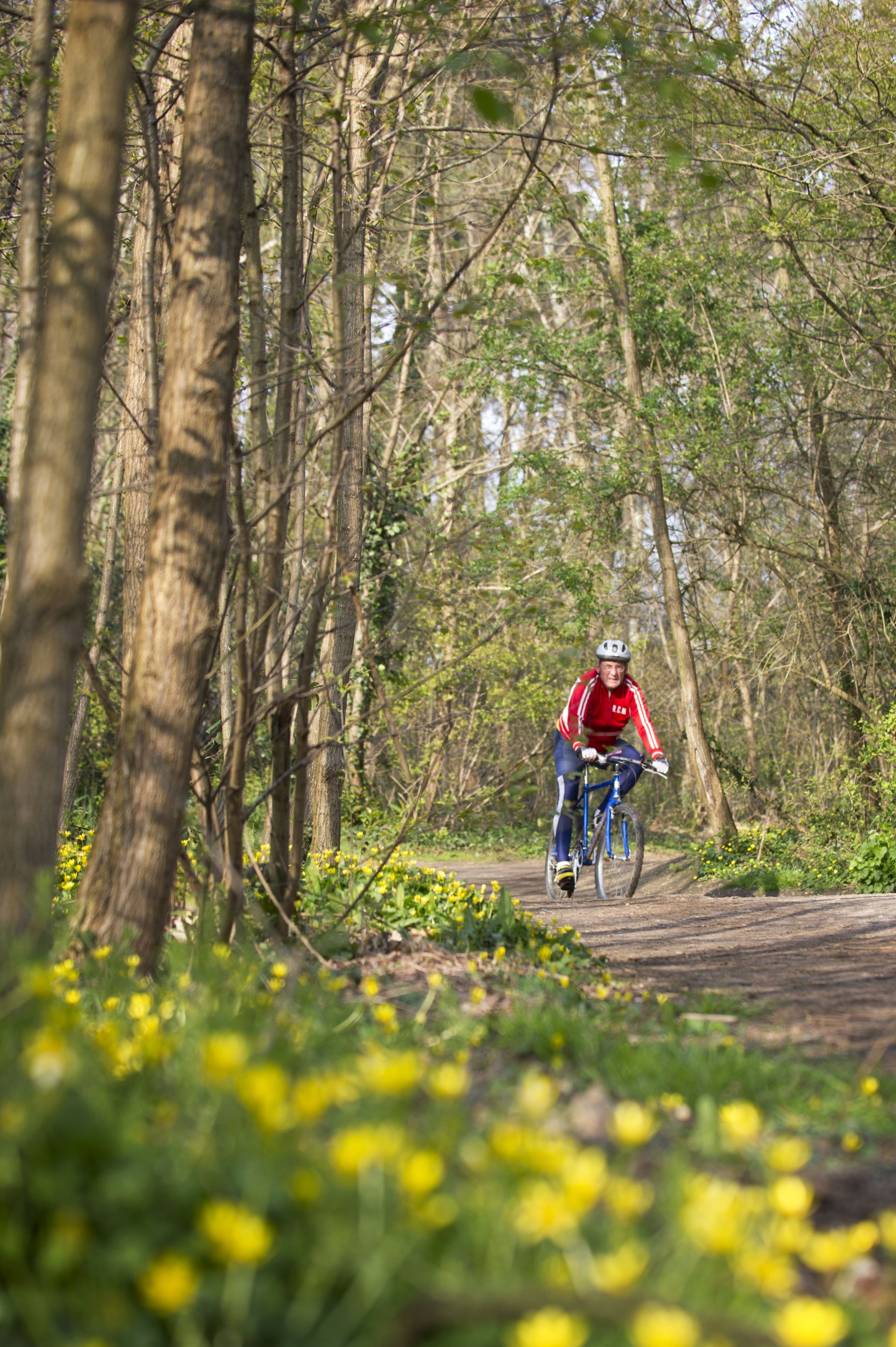 Cycliste en vêtement rouge roulant sur une piste cyclable forestière bordée d'arbres et de fleurs jaunes sauvages près de Bordeaux