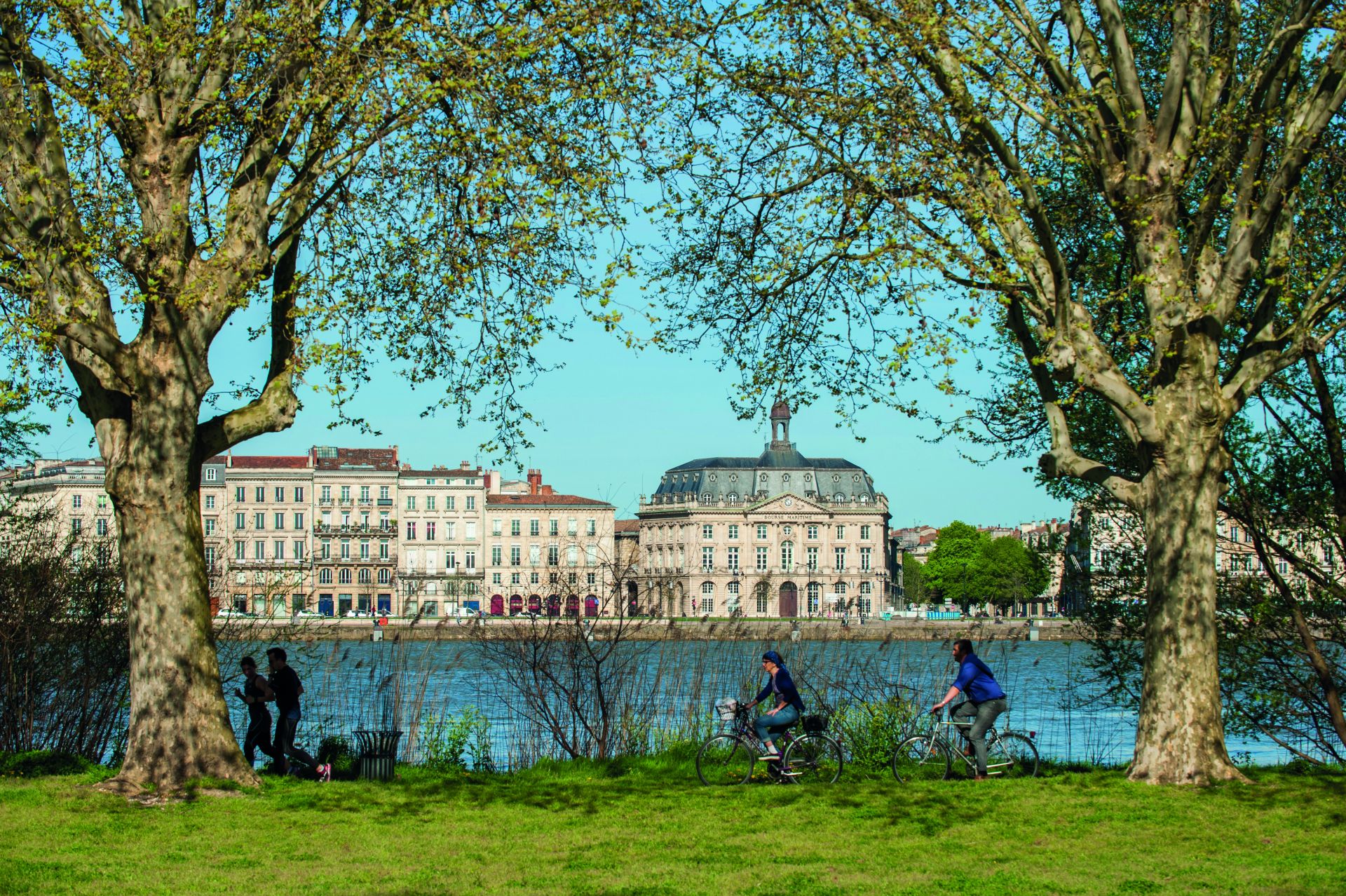 Vue de la Garonne à Bordeaux avec des bâtiments historiques en arrière-plan, des arbres centenaires au premier plan, et des personnes pratiquant des loisirs au bord de l'eau.