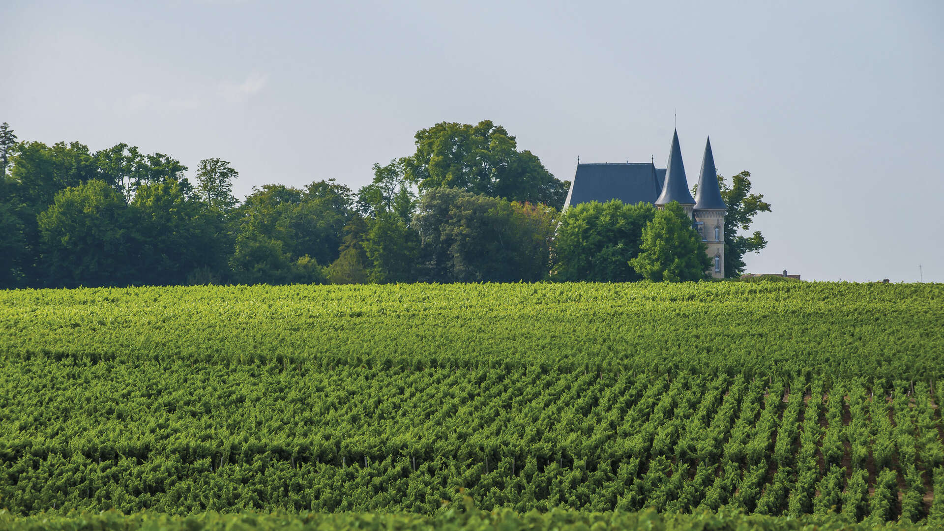 Le vignoble et les vins de Bordeaux | Bordeaux Tourisme &amp; Congrès image