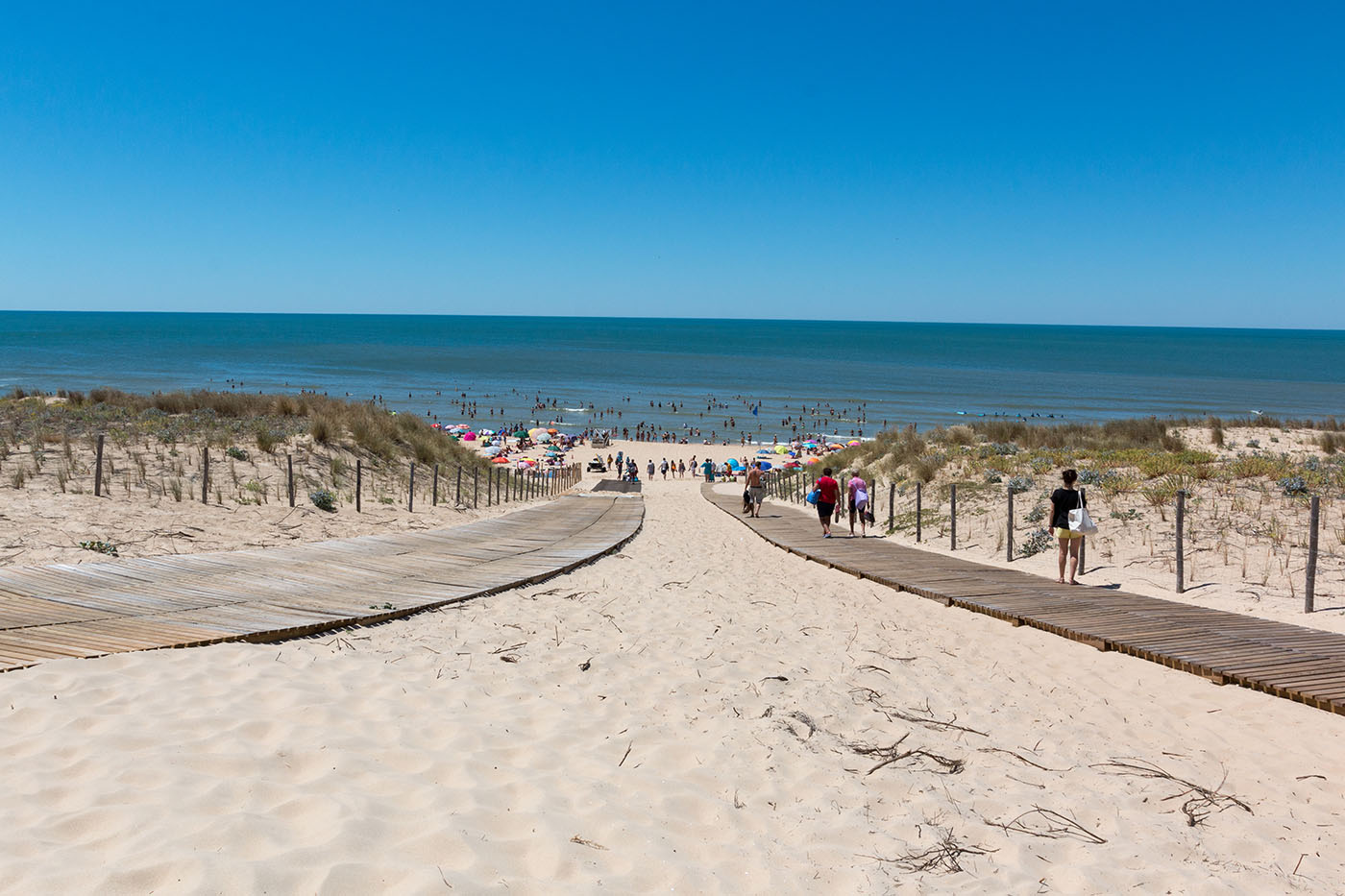 Vue panoramique d'une plage de sable fin avec une promenade en bois central, des dunes végétalisées de chaque côté, et de nombreux baigneurs dans l'eau turquoise sous un ciel dégagé.