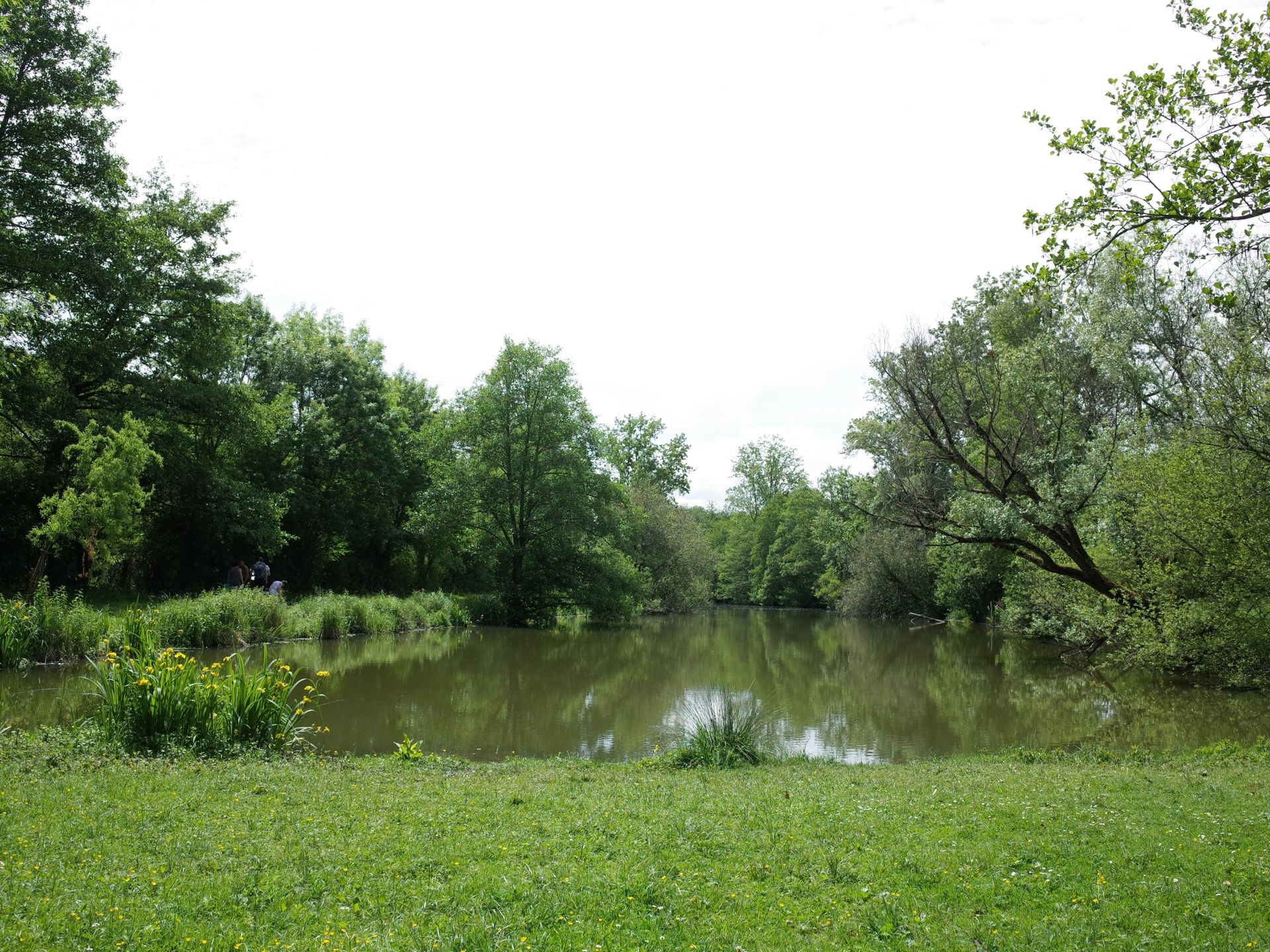 Etang des Sources