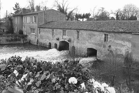 Moulin à eau historique avec maison adjacente à Bordeaux, traversé par une rivière, entouré de végétation et de fleurs blanches au premier plan, photographie en noir et blanc.