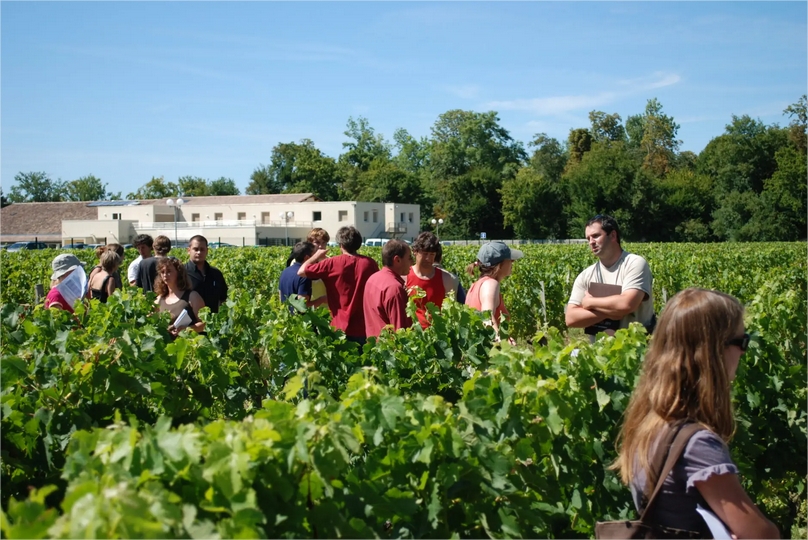 Groupe de visiteurs écoutant un guide dans un vignoble de Bordeaux, avec des bâtiments de domaine viticole en arrière-plan sous un ciel bleu.