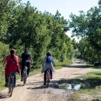 Trois cyclistes sur un chemin de terre bordé d'arbres, avec une flaque d'eau, près de Bordeaux