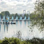 Une flottille de voiliers avec voiles blanches et bleues naviguant sur la Garonne à Bordeaux, avec le pont d'Aquitaine visible en arrière-plan et la végétation en premier plan.