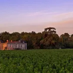 Château viticole du Bordelais au coucher du soleil, entouré de vignobles verts et de grands arbres séculaires, photographié depuis les rangs de vigne.