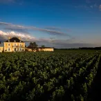 Château Haut-Bailly