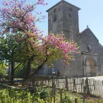 Église en pierre avec tour carrée, entourée d'un cimetière et d'un arbre aux fleurs roses et jaunes en fleur, sous un ciel bleu dégagé.