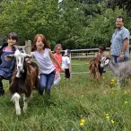 Ferme-des-Iris-Lormont-animaux-enfants-photo-VilledeLormont-e1510847238150.jpg