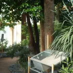 Cour intérieure verdoyante à Bordeaux avec bassin d'eau, plantes tropicales et façade ancienne en pierre