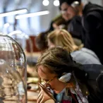 Une jeune fille portant des lunettes observe une exposition interactive dans un musée ou centre scientifique à Bordeaux, avec d'autres visiteurs en arrière-plan.