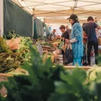 Marché en plein air à Bordeaux sous une tente avec des clients découvrant des légumes frais exposés sur des étals en bois.