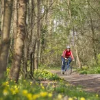 Cycliste en vêtement rouge roulant sur une piste cyclable forestière bordée d'arbres et de fleurs jaunes sauvages près de Bordeaux