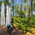 Tour-de-Gironde---Salle---Foret-d-art.jpg
