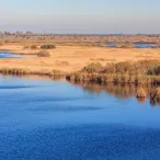 Paysage de zones humides avec canaux d'eau bleue sinueux bordés de roseaux dorés et de végétation clairsemée sous un ciel dégagé