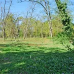 Forêt de pins avec clairière fleurie de fleurs violettes, plateforme d'observation en bois au centre, ciel bleu dégagé