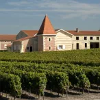 Château viticole bordelais avec tour ronde et toit pointu entouré de vignobles en production