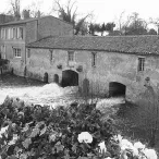 Moulin à eau historique avec maison adjacente à Bordeaux, traversé par une rivière, entouré de végétation et de fleurs blanches au premier plan, photographie en noir et blanc.