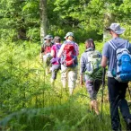 Groupe de randonneurs en sentier forestier portant des sacs à dos colorés, marchant sur un chemin entouré de végétation dense
