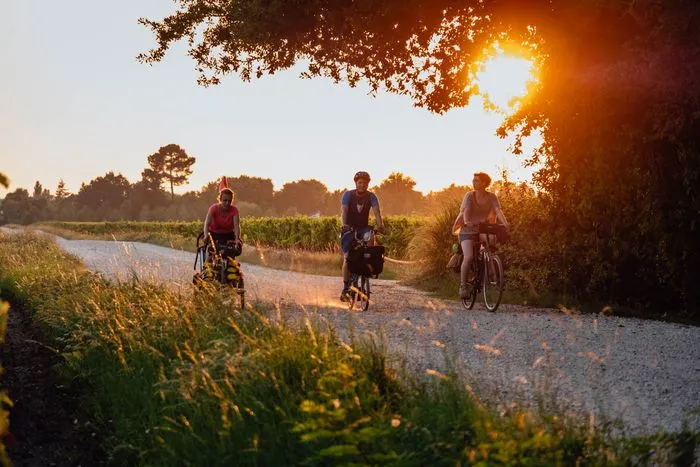 Trois cyclistes à vélo sur un chemin de terre au coucher du soleil dans les vignobles de Bordeaux, avec des champs et des arbres en arrière-plan.