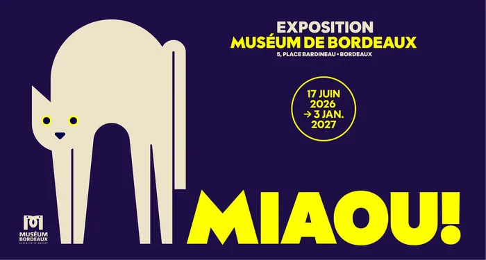 Affiche de l'exposition 'Miaou!' au Musée de Bordeaux du 17 juin 2026 au 3 janvier 2027, featuring un chat blanc stylisé sur fond bleu marine.