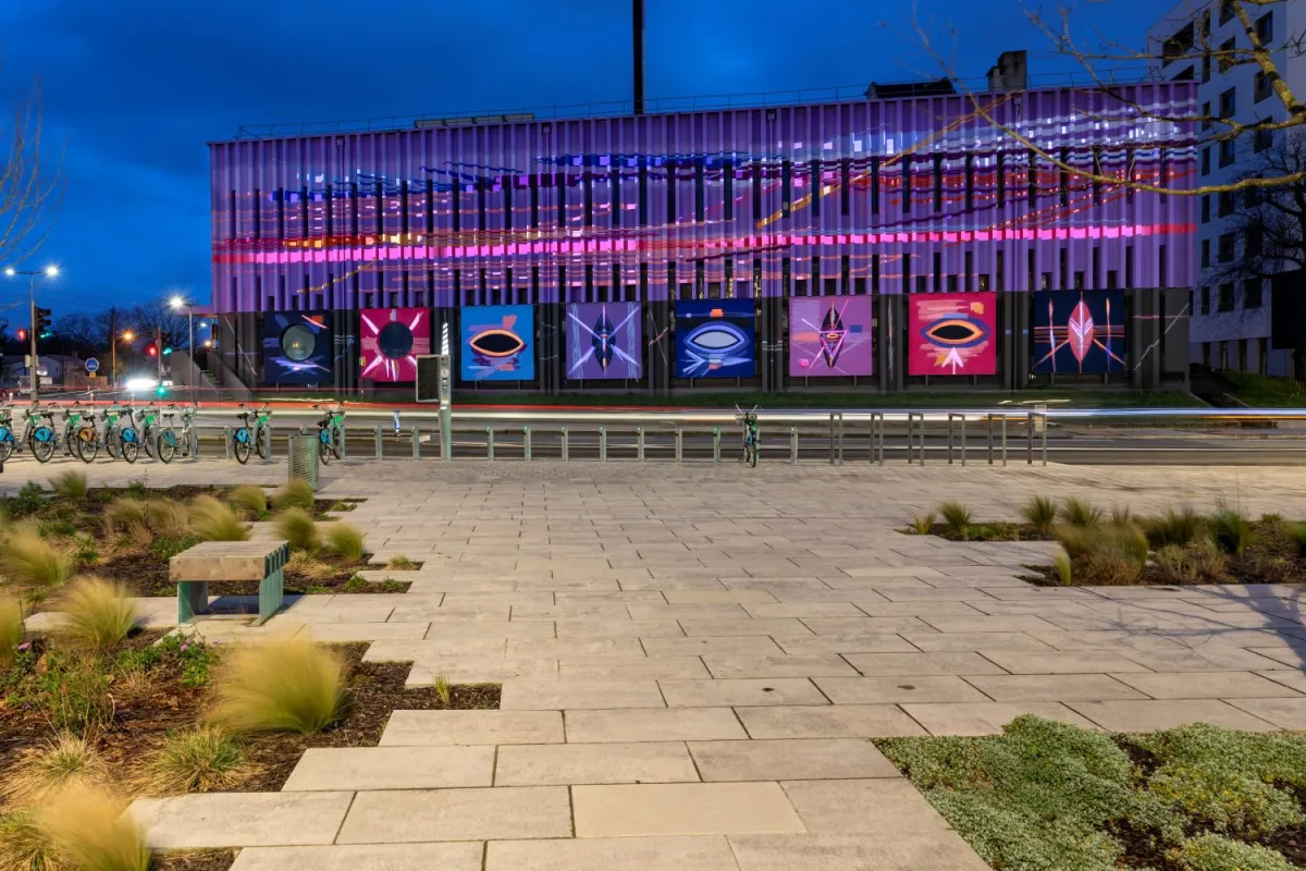 art bordeaux street-art sur un batiment rose et violet de nuit