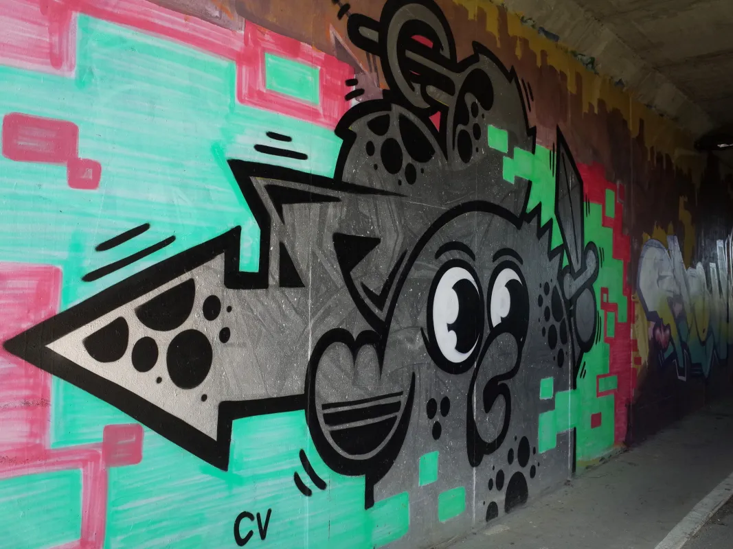 Tunnel de Piquecaillou