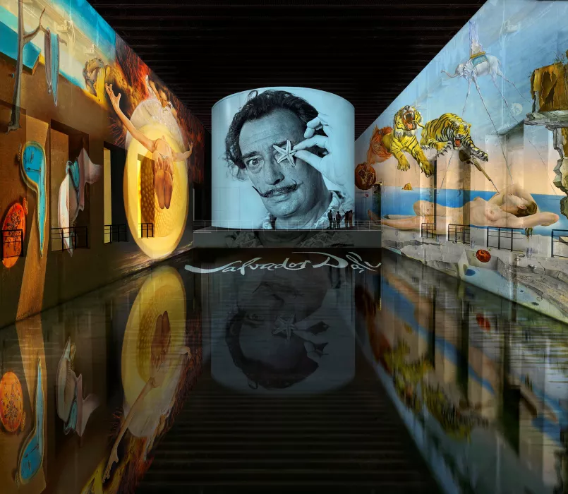 © Salvador Dalí, Fundació Gala-Salvador Dalí, ADAGP 2022
