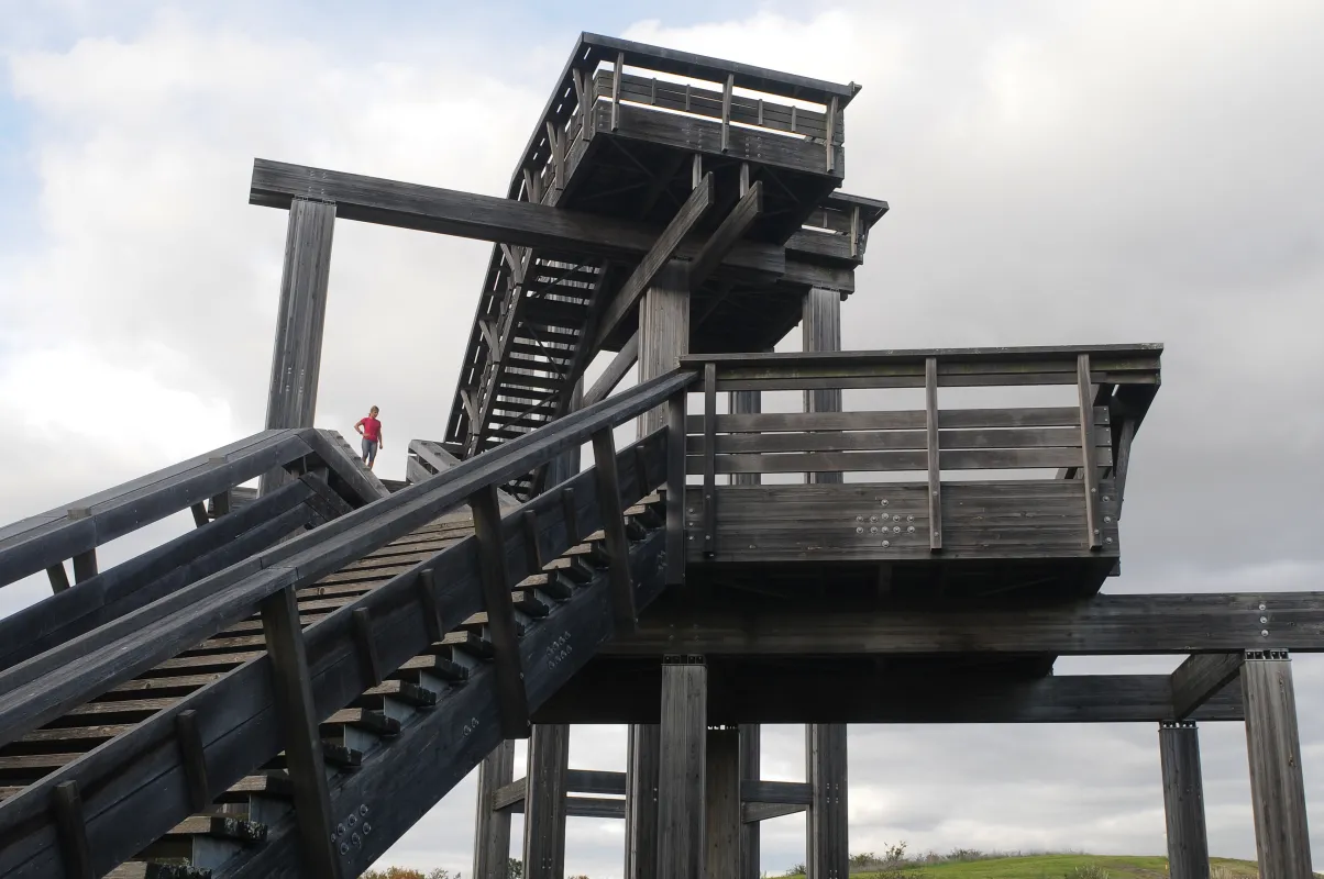 Cette photo met en avant les escaliers du Belvédère de la colline. 