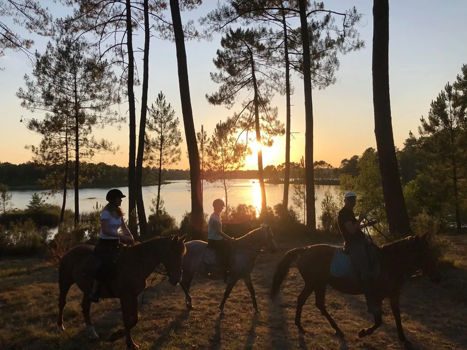 Ecuries du Lac d'Hostens