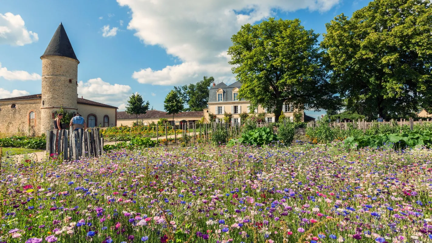 Château Guiraud