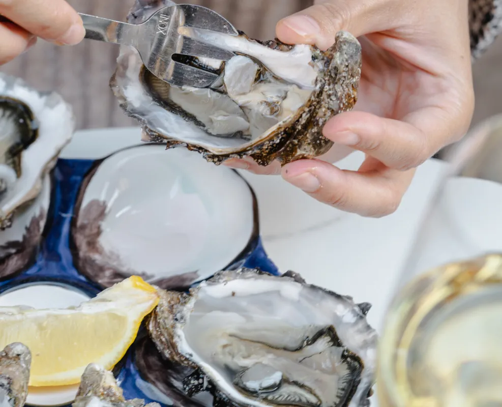 Une personne ouvre une huître fraîche avec un couteau à huître, servant avec du citron et du vin blanc à Bordeaux